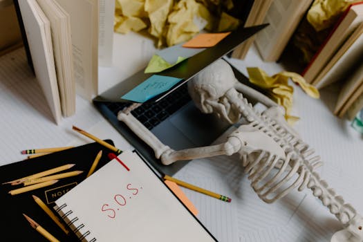 From Chaos to Clarity: A CEO’s Journey to Strategic Alignment